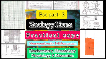 Bsc part 3 zoology hons practical copy (1st copy) #mungeruniversity #study