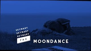 skymary - moondance (Stop Motion Music Video)