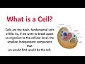 Cell Biology For Junior Science Teachers, IBA Graduation, STS, ETEA, | General Science Biology MCQ's