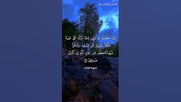 سورة البقرة من الآية 23 إلى الآية 24 بصوت الشيخ فارس عباد برواية حفص #القرآن_الكريم #اكسبلور #viral