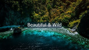 Beautiful Background Music for Landscape & Nature Videos