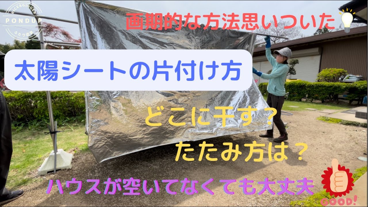 画期的！太陽シートの片付け方〜干し方、たたみ方〜ハウスが空いてなくても大丈夫！