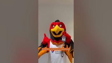 FCT Family: How to Get Your Student ID