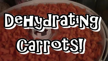 Dehydrating Carrots!!