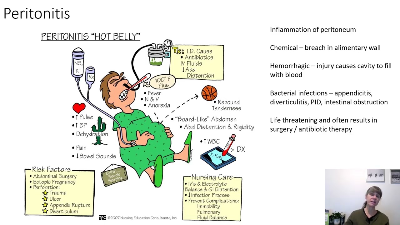 The Digestive System Part 1 of 3