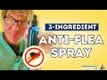 Dr. Jones&#39;s Flea Repellent Solution: 3 Simple Ingredients for an Effective and All-Natural Solution