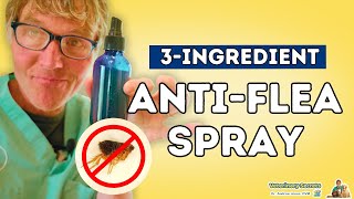 Dr. Jones's Flea Repellent Solution: 3 Simple Ingredients for an Effective and AllNatural Solution