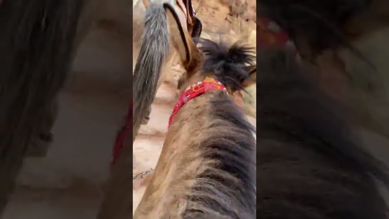 Petra: High Place of Sacrifice Trail