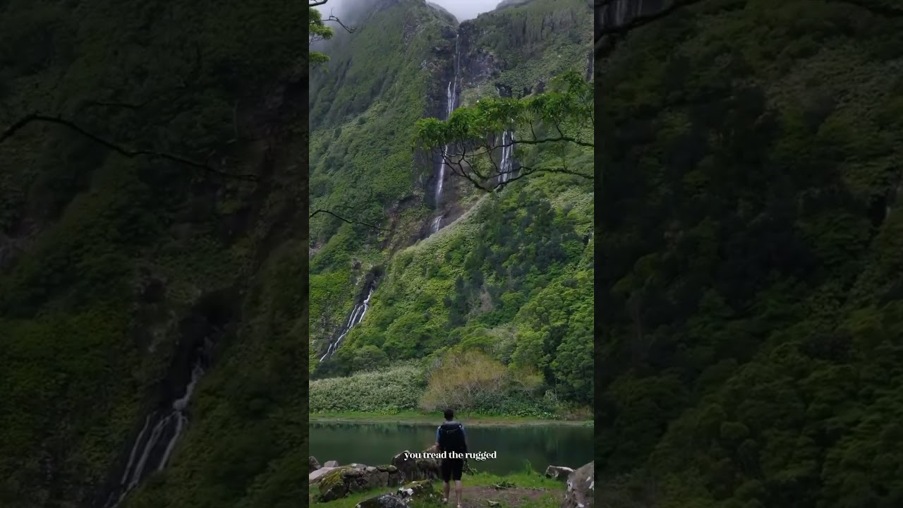 Poço da Ribeira do Ferreiro waterfalls #nature #relxing #universal