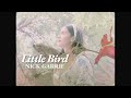 Nick garrie  little bird official