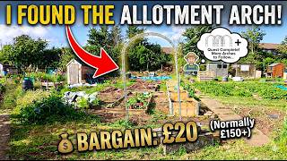 I Found a £150 Allotment Arch for Only £20! Hunting for the Perfect Allotment Arch (Massive Bargain)