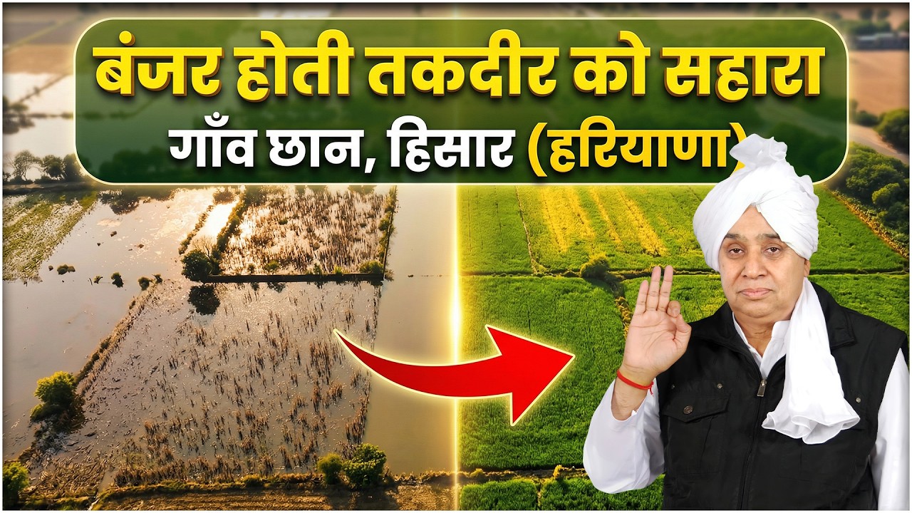 बंजर होती तकदीर को सहारा: गाँव छान, हिसार (हरियाणा) के किसानों की सच्ची कहानी || Village Chaan