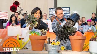 Summer Gardening Tips With George Oliphant | TODAY