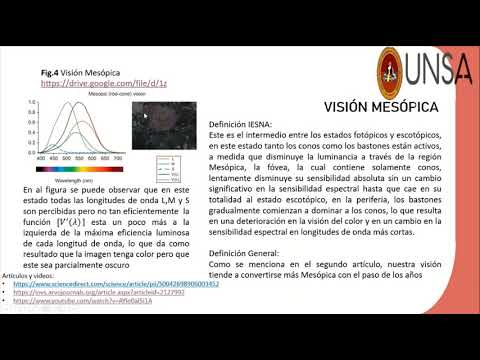 Video: ¿Qué es la visión escotópica?