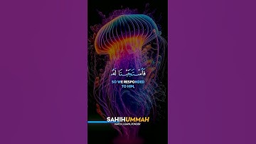 Surah Al Anbiya (سورة الأنبياء) - AYAT 89-90 | محمد ديبيروف | Muhammad Dibirov