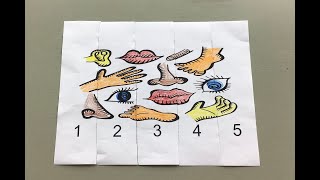 Five Senses Puzzle
