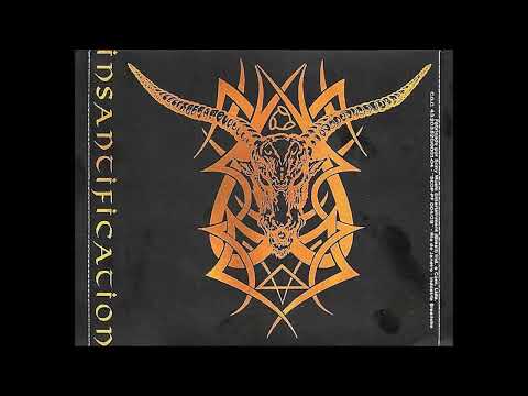 Insantification artwork