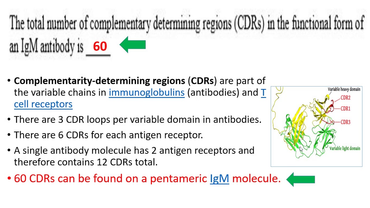 GATE 2019 Life Science answer keys Zoology