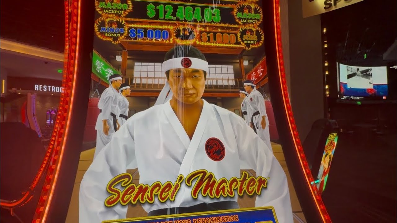 Мастер-сенсей высокого уровня 🥋