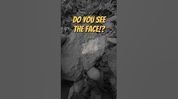 Trilobite Fossil Revealed in Hidden Rock!