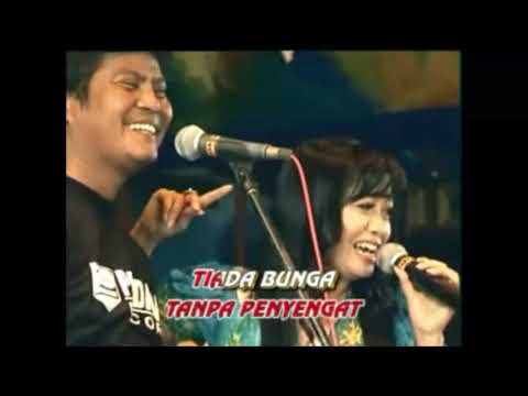 New Pallapa - Menggapai Matahari ( KARAOKE )