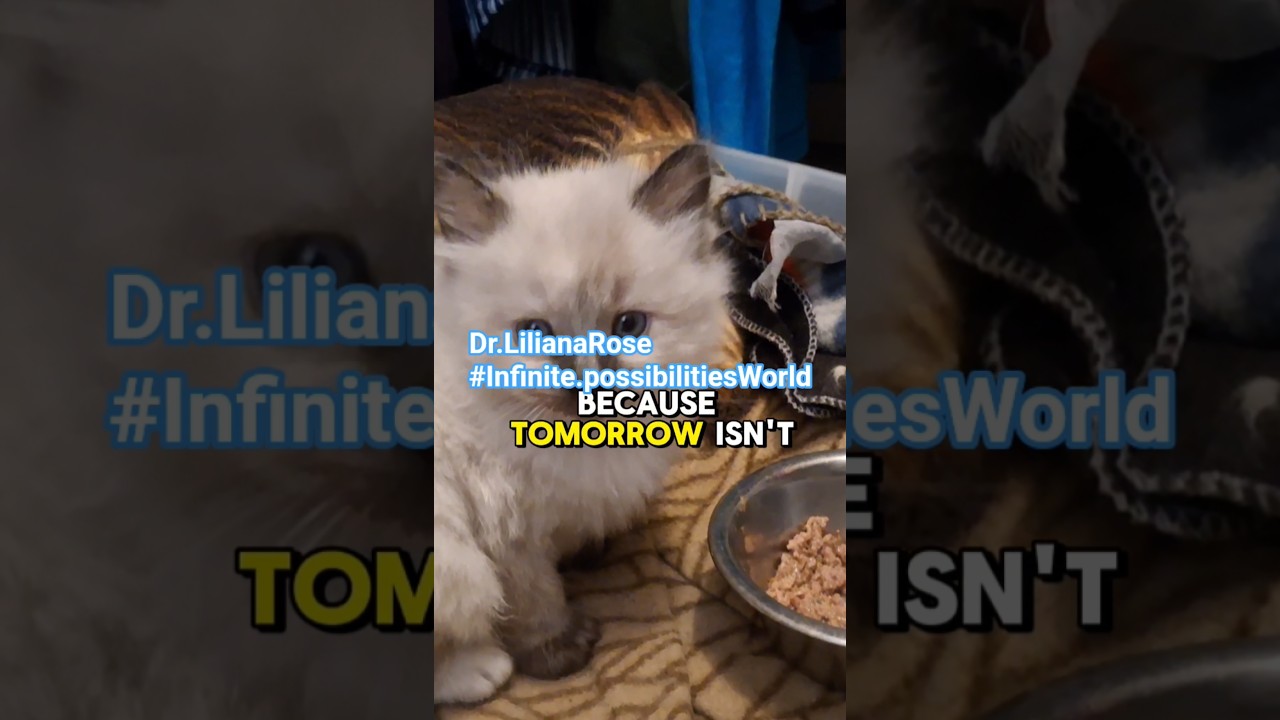 Happiness  😊 #lifeisbutadream #InfinitePossibilitiesWorld #lifecoaching