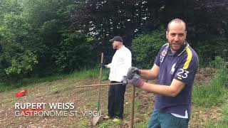 Gemüseanbau St. Virgil 2019