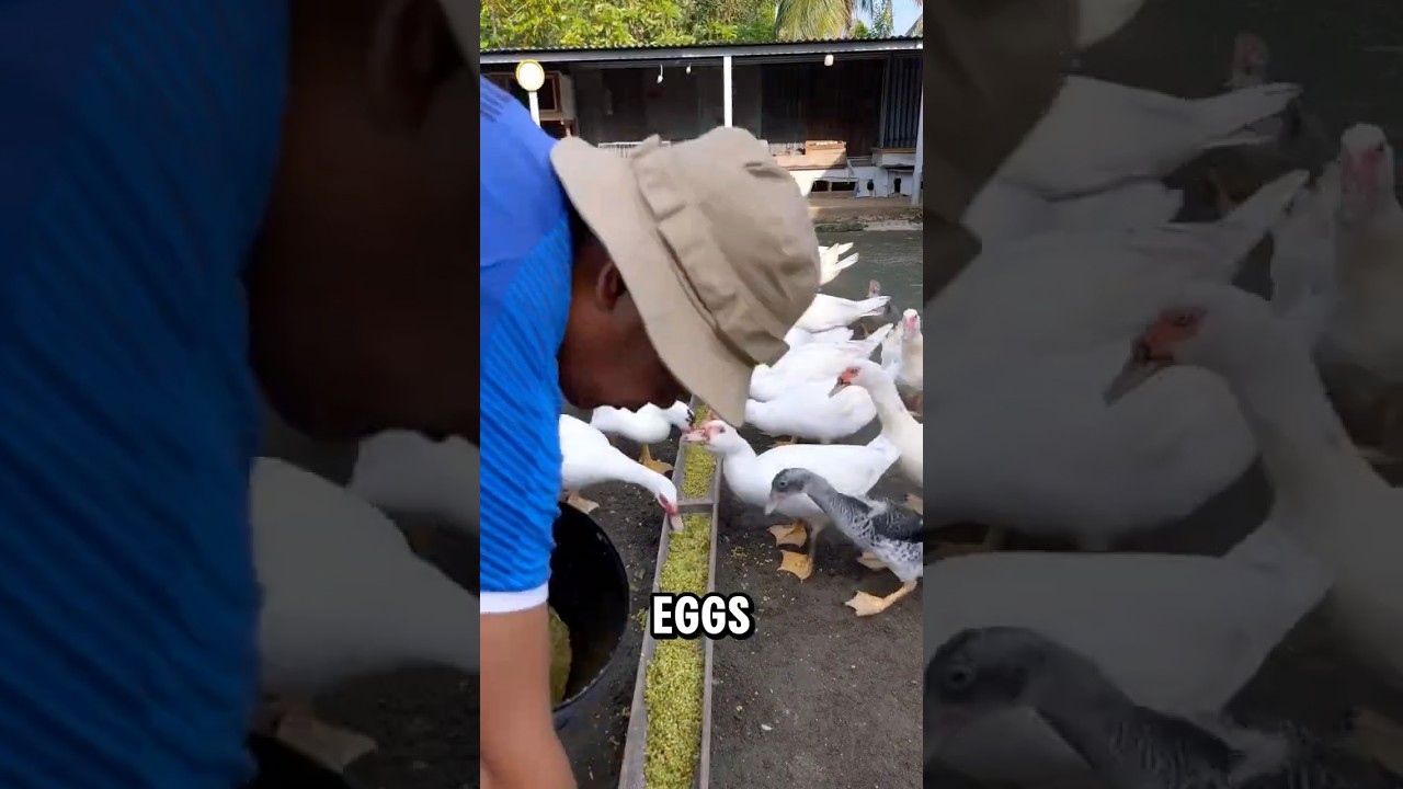 He turned trash into a gold mine!(IG: armanpur4)