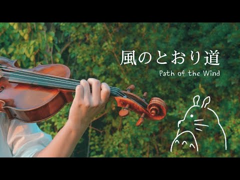 My Neighbor Totoro: "Path of the Wind (風のとおり道)" Viola cover 비올라 커버