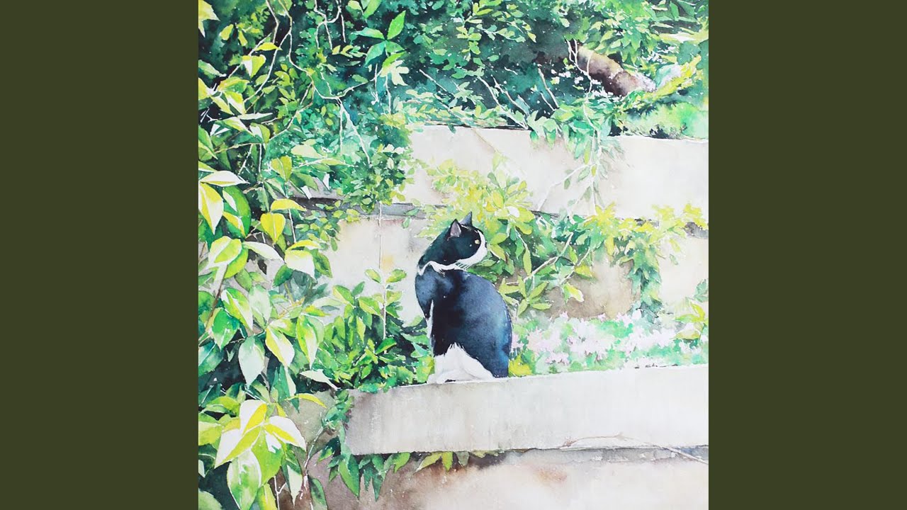 Watch 薄荷与猫 on YouTube Watch 薄荷与猫 on YouTube