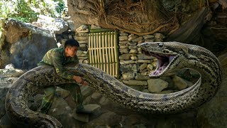 ​Terrifying Encounter with a Giant Python! Stone Shelter & Primitive Traps, SURVIVAL SKILLS 2