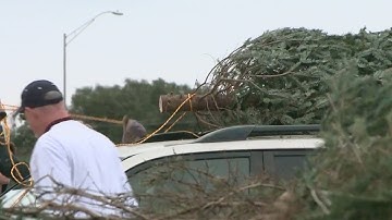 How to recycle your Christmas tree in and around Austin