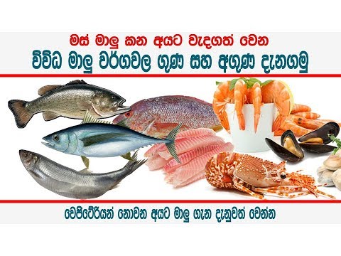 මස් මාළුවල ගුණ සහ අගුණ - Nutritional value of various types of fish