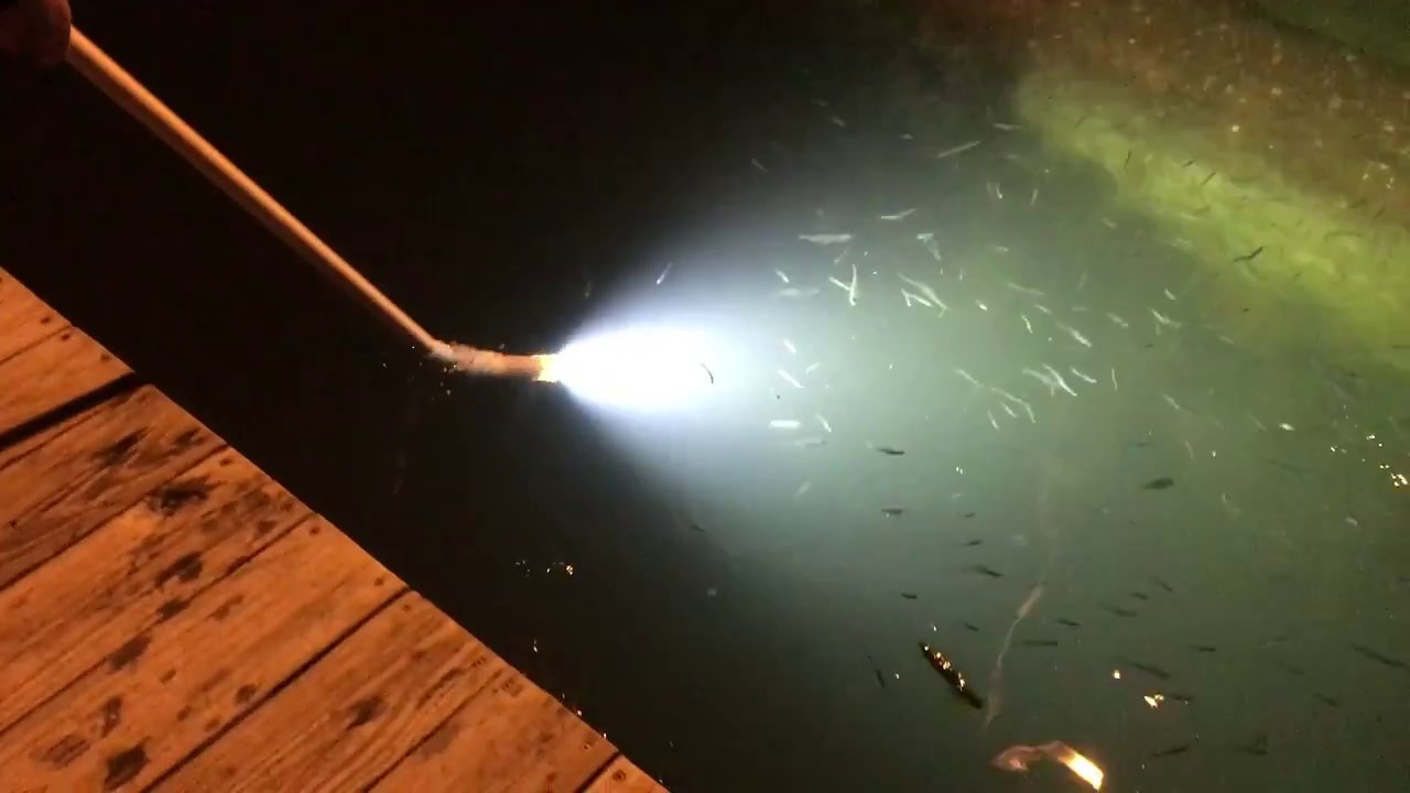 Loomis LED Cree XHP70 and Cree XML L2 Gigging Lights