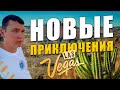 Сисун на пути к новым приключениям 🔥 Las Vegas