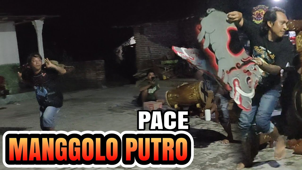 LATIHAN PERANG CELENG SANG MAESTRO MANGGOLO PUTRO pace