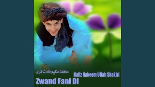 Download Lagu Zwand Fani Di
