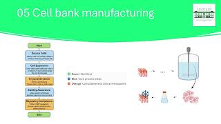 THE IMPORTANCE OF CELL BANKS IN BIOPHARMACEUTICAL PRODUCTION