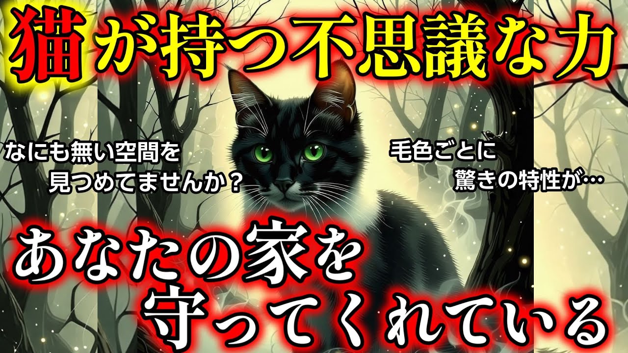 【不思議体験】猫の持つ不思議な力。彼らはあなたの家を守っているんです