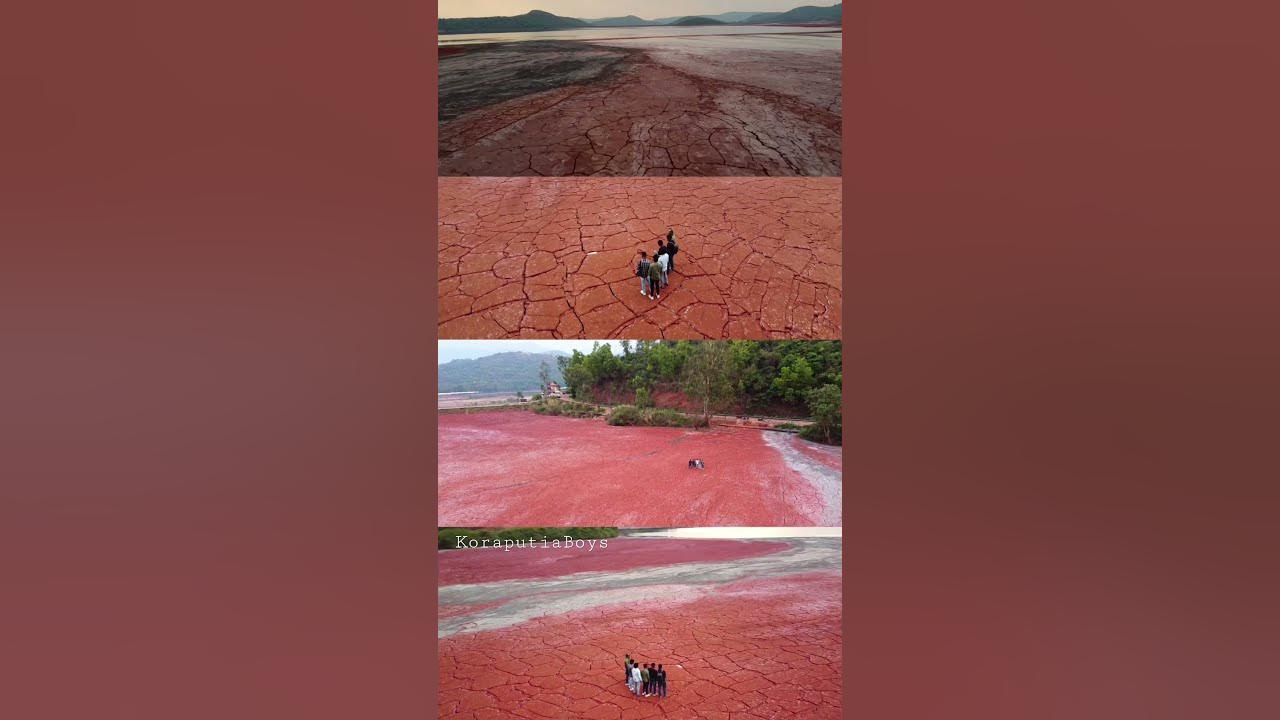 red-mud-pond-damanjodi-koraputia-koraput-odisha-shorts-viral