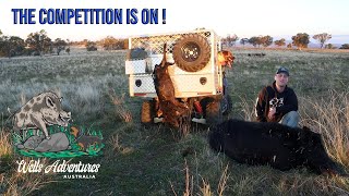 Massive Boar Contest! Narrabri New South Wales 2023 | Feral Pig Hunt!