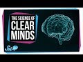 Understanding the Default Mode Network