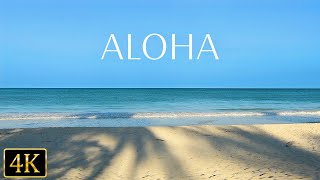 ハワイの海辺にワープする癒しの波音｜睡眠・リラックス・疲労回復｜海の映像・自然音３時間 Tropical Beach Sounds | Relaxing Beach Ambience
