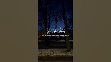 سورة الأحزاب #القارئ_علي_جابر #دويتو #راحة_نفسية #فولو #duet #قران #لايك #اكسبلورر #القرآن_الكريم