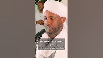 ايات من سورة يس   #nature #ترند