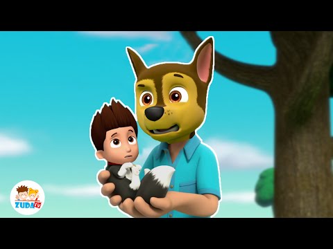 PAW PATROL Face Swap | Funny Reactions 2 | 2025