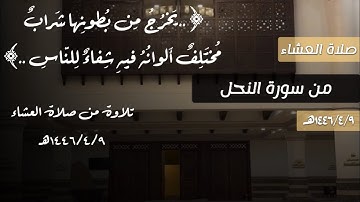 ﴿إنَّ في ذلِكَ لَآيَةً لِقَومٍ يَتَفَكَّرون﴾ تلاوة لِـعشائية من سورة النحل للقارئ محمد اللحيدان 1446