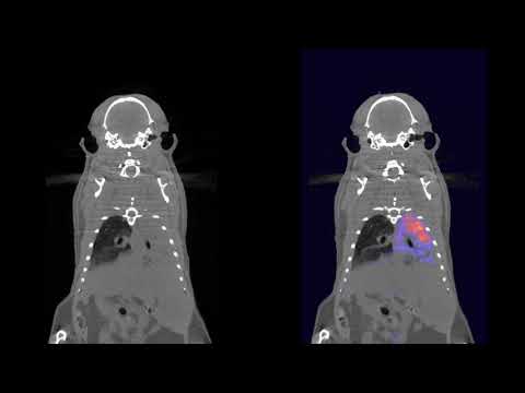 Monitoring Bacterial Infections with Imaging Agent