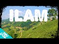 Exploring the tea gardens of ilam nepal