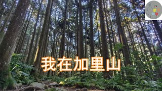 我在雲海之顛~加里山